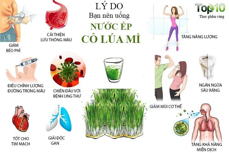 Combo 2 hộp Bột cỏ lúa mì khu vườn của mẹ