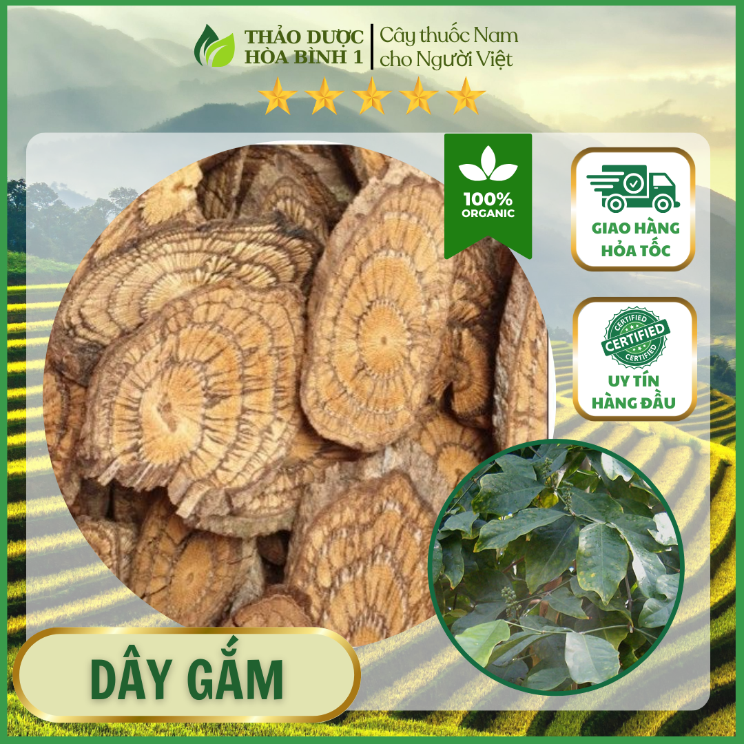 500gr cây dây gắm khô hb185