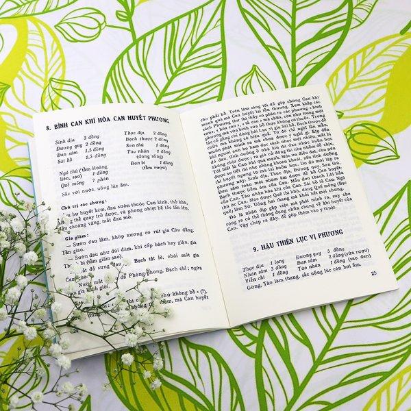 Hiệu Phỏng Tân Phương - Hải Thượng Lãn Ông