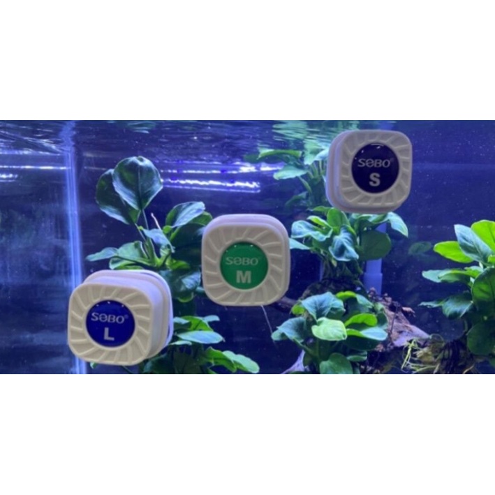 Hít nam châm chà hồ mini sobo