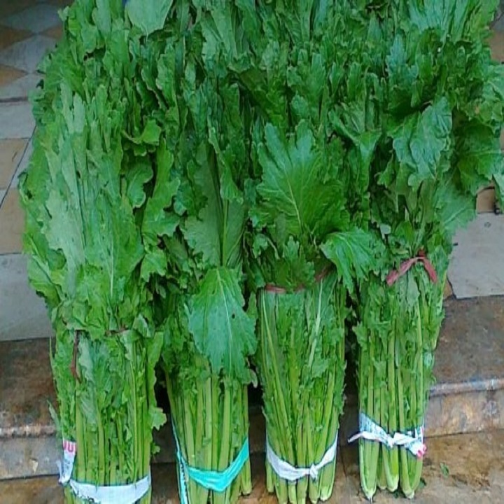 Hạt giống rau Cải Mèo Hà Giang