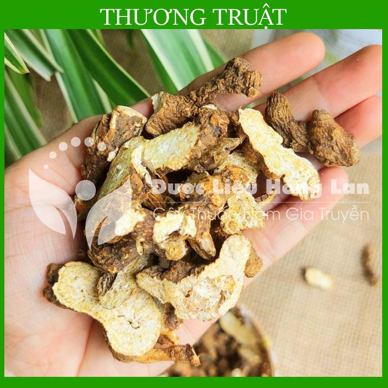 ✅ 100g thương truật khô đẹp loại 1
