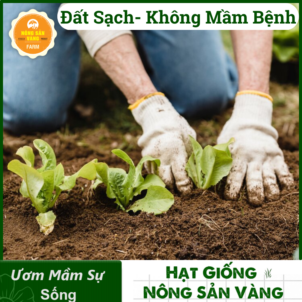 Đất sạch LAVAMIX 6.5 dm3, Đất hữu cơ đa dụng - Nông Sản Vàng