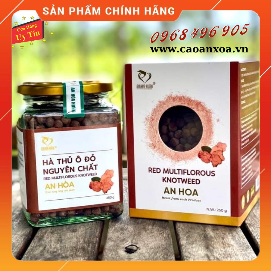 HÀ THỦ Ô ĐỎ NGUYÊN CHẤT AN HOÀ!