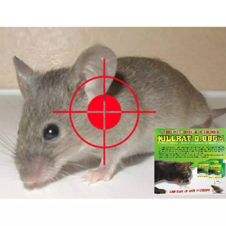 Thuốc Diệt Chuột KILLRAT 0.005% - Forward International Ltd bẫy chuột