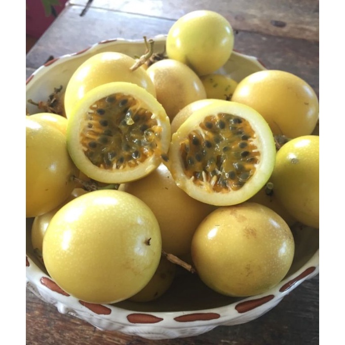 CÂY GIỐNG CHANH DÂY VÀNG (cây giống có bảo hành )