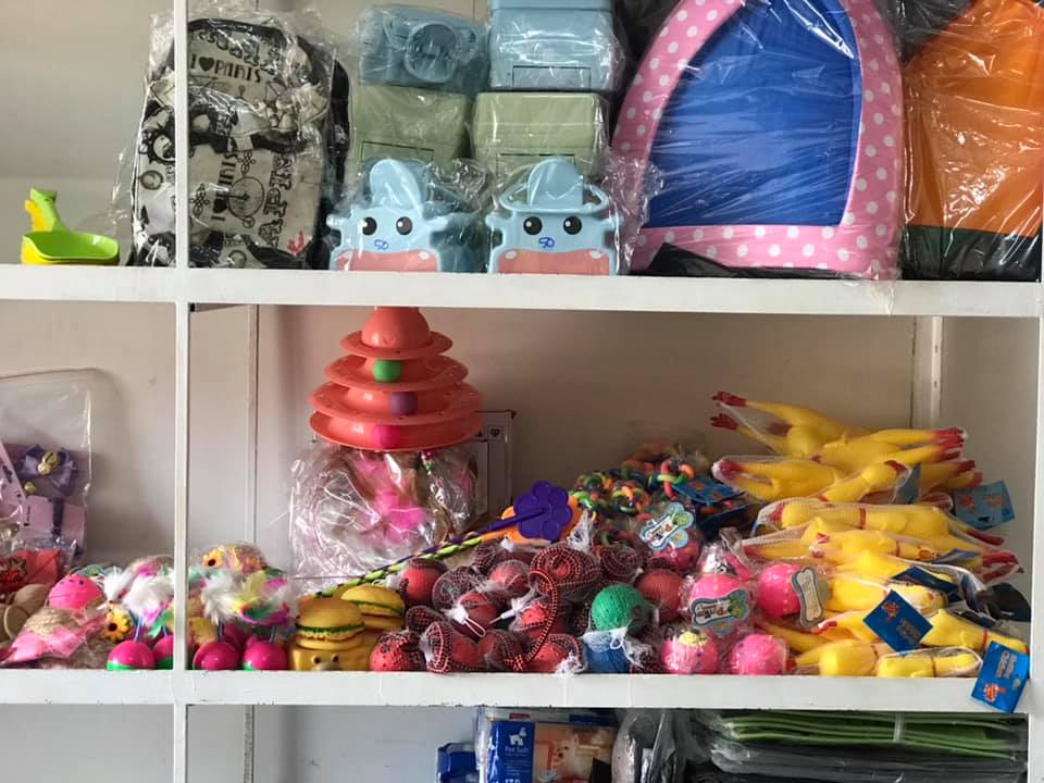 ĐỒ CHƠI MÈO CẦU CÂU LÔNG VŨ CAO CẤP