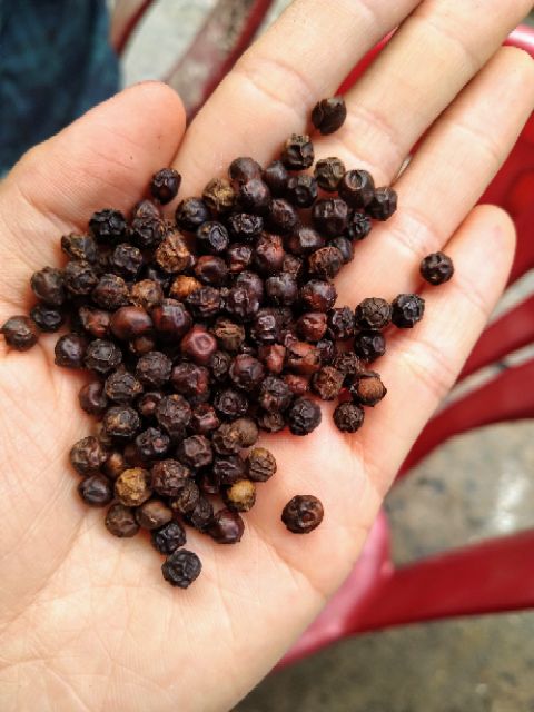 Gia Vị Tiêu Đen nguyên hạt 100G