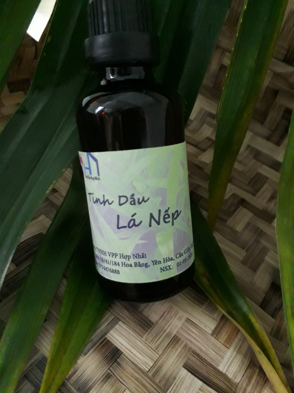Tinh dầu Lá Nếp thơm Lọ 100ml