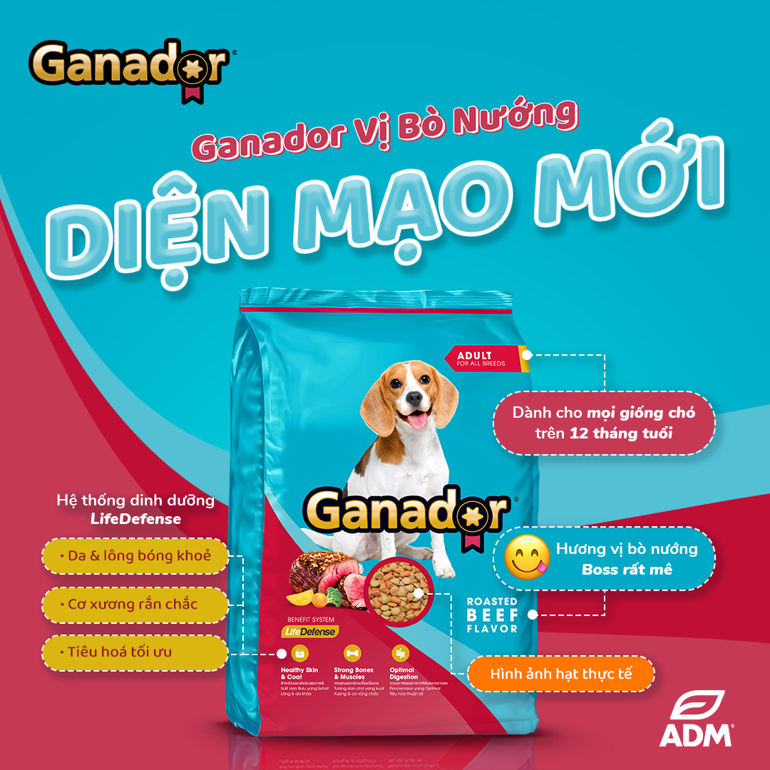 [3kg] Thức Ăn Hạt Cho Chó Ganador Nhiều Vị (Chó Con & Chó Lớn)