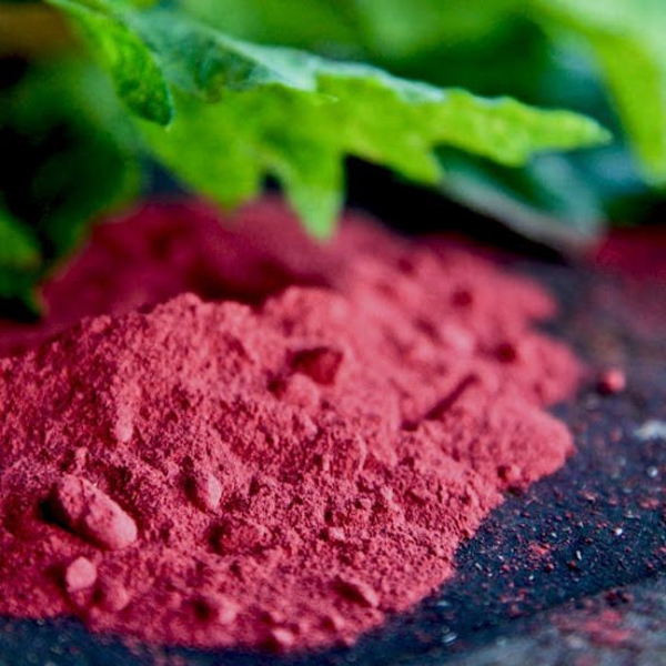Bột Củ Dền Nguyên Chất 100g