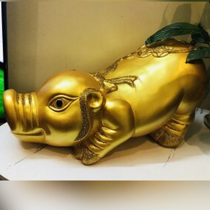 Heo đất khổng lồ dài 60cm