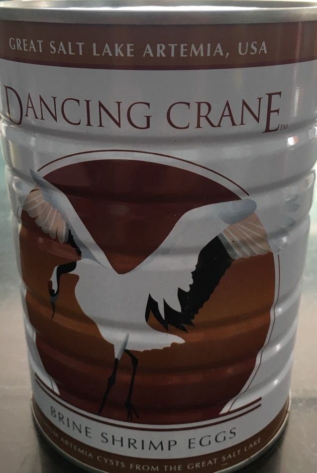Artemia Mỹ dancing crane