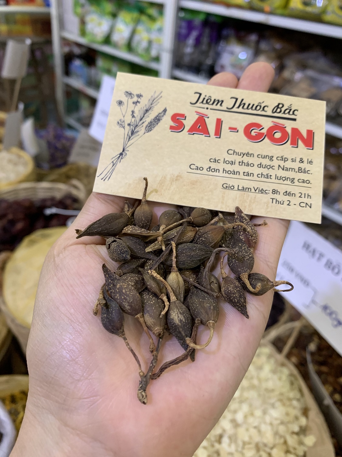 [HCM]QUẢ LIÊN KIỀU 100 GRAM Tiệm Thuốc Bắc Sài Gòn