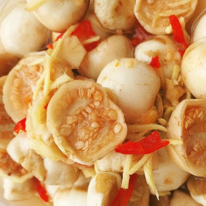 [HCM]20 Hạt giống cà pháo trắng sai quả