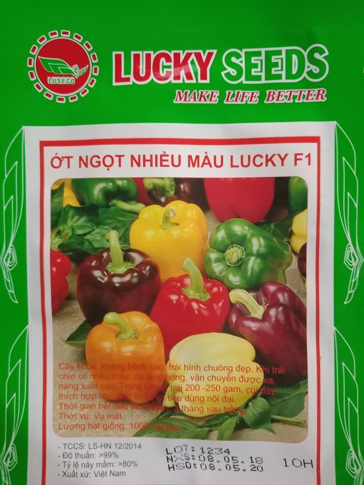 COMBO 12 loại hạt giống rau quả  ( 12 loại khác nhau )