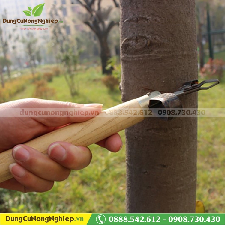 Dụng cụ khoanh cắt vỏ cây cán gỗ