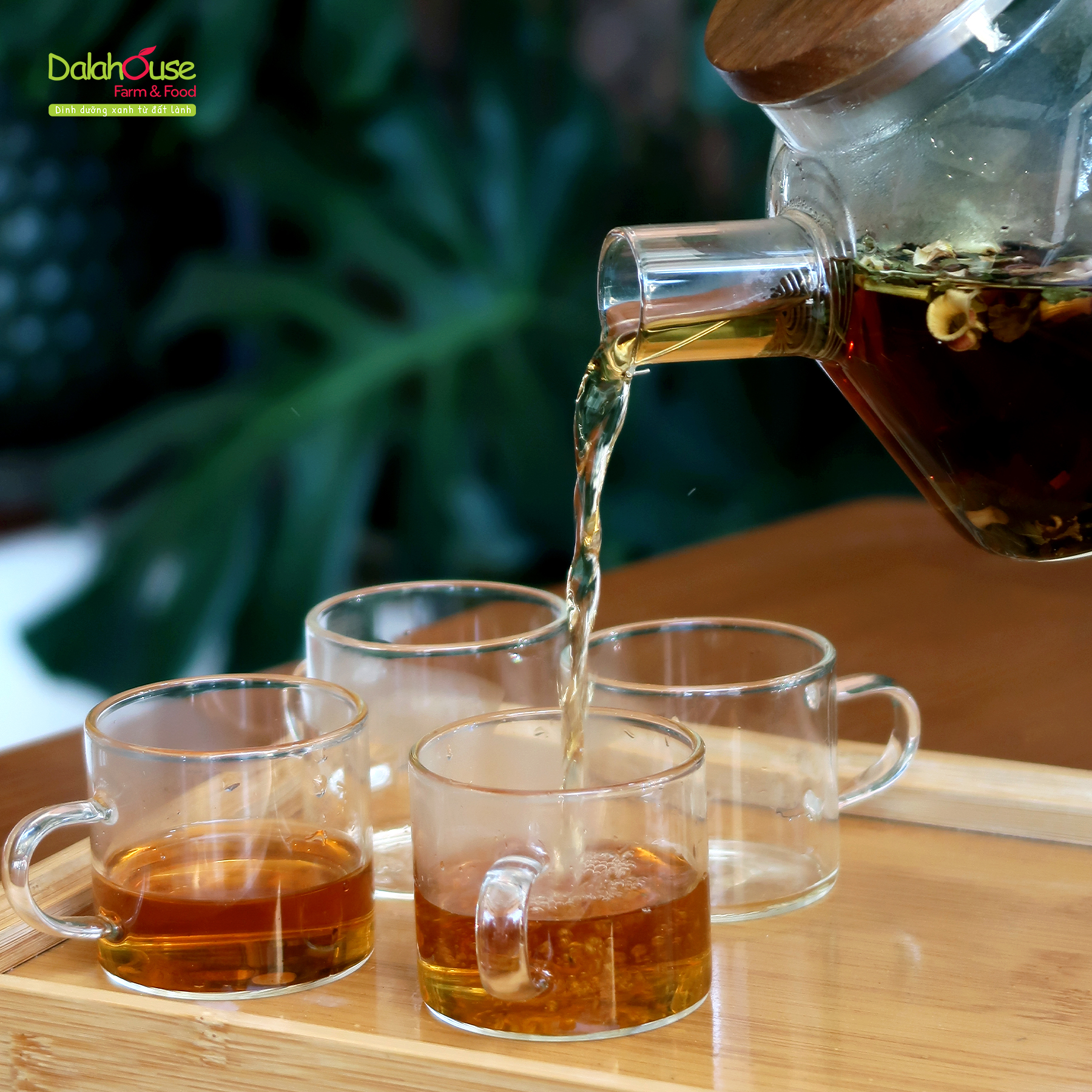 Trà bưởi mật ong lên men Dalahouse 75g