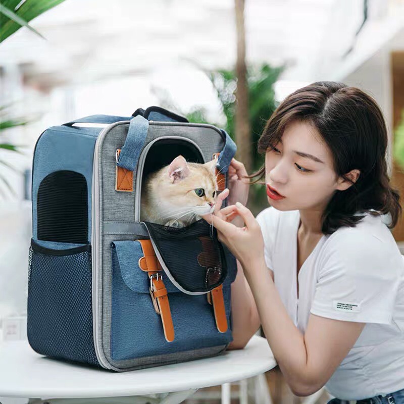 Balo cho mèo - balo đựng mèo size lớn
