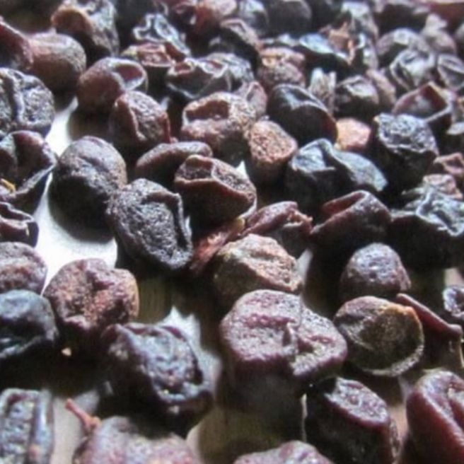 Sỉ toàn quốc 1kg hạt mắc mật móc mật