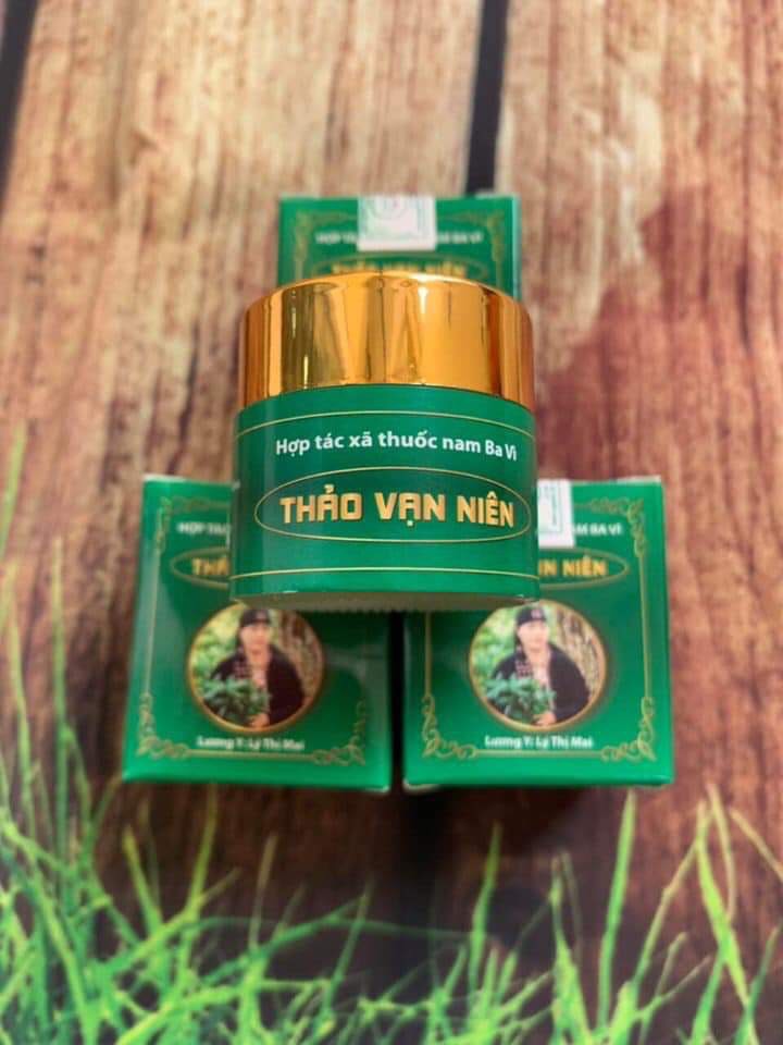 Thảo vạn niên