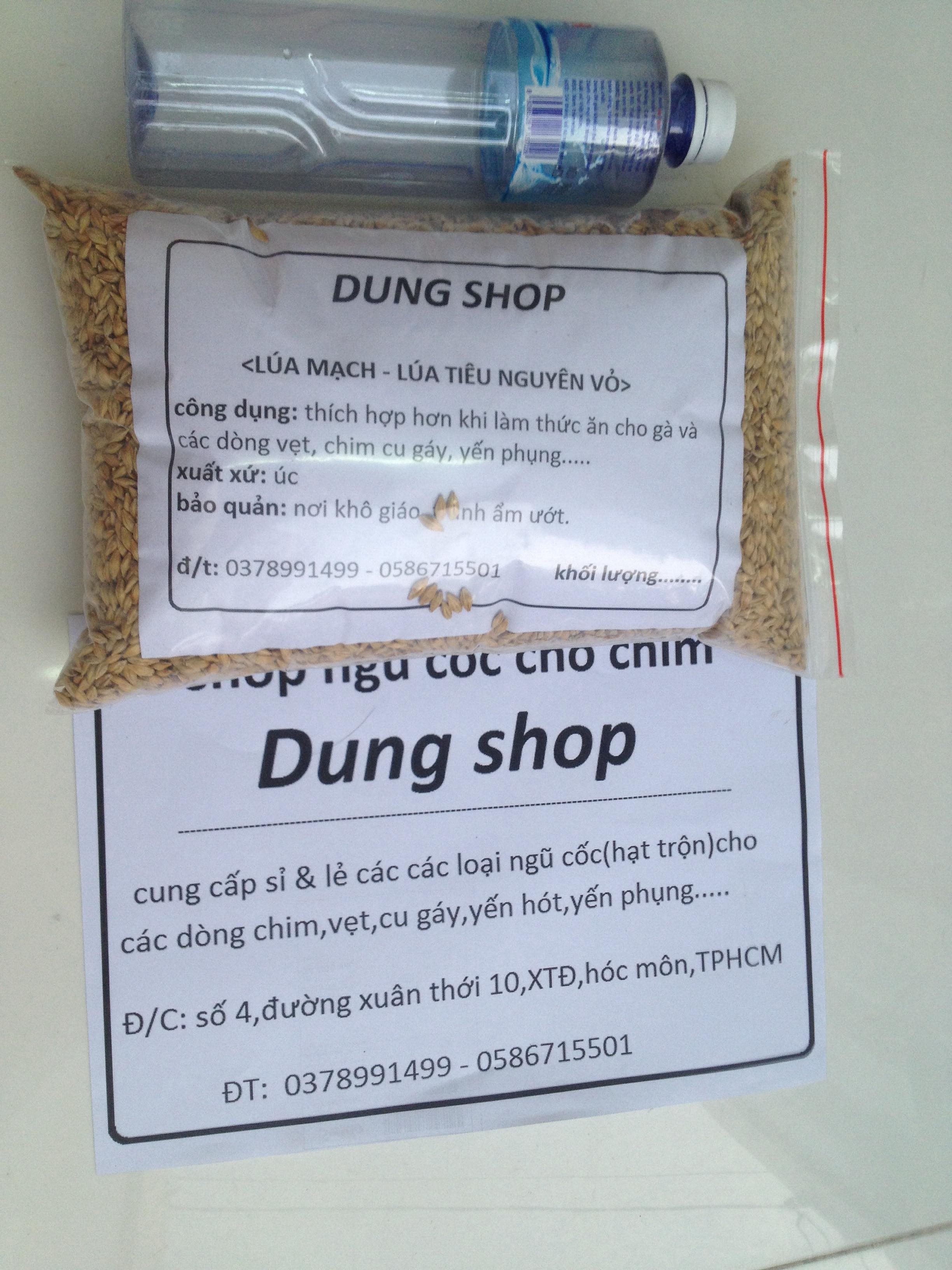hạt lúa mạch đại mạch thức ăn cho chim vẹt bồ câu (1kg)(canada)