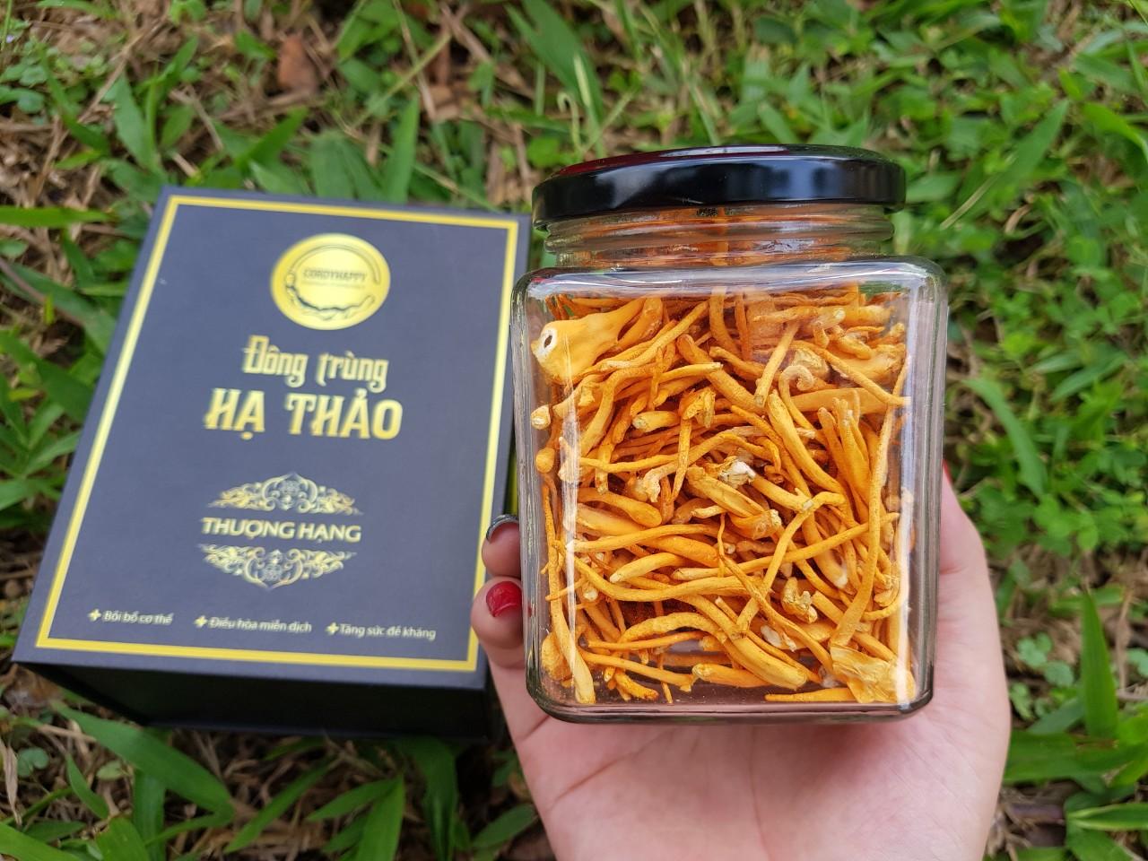 Đông trùng Hạ thảo khô 12,5 gram