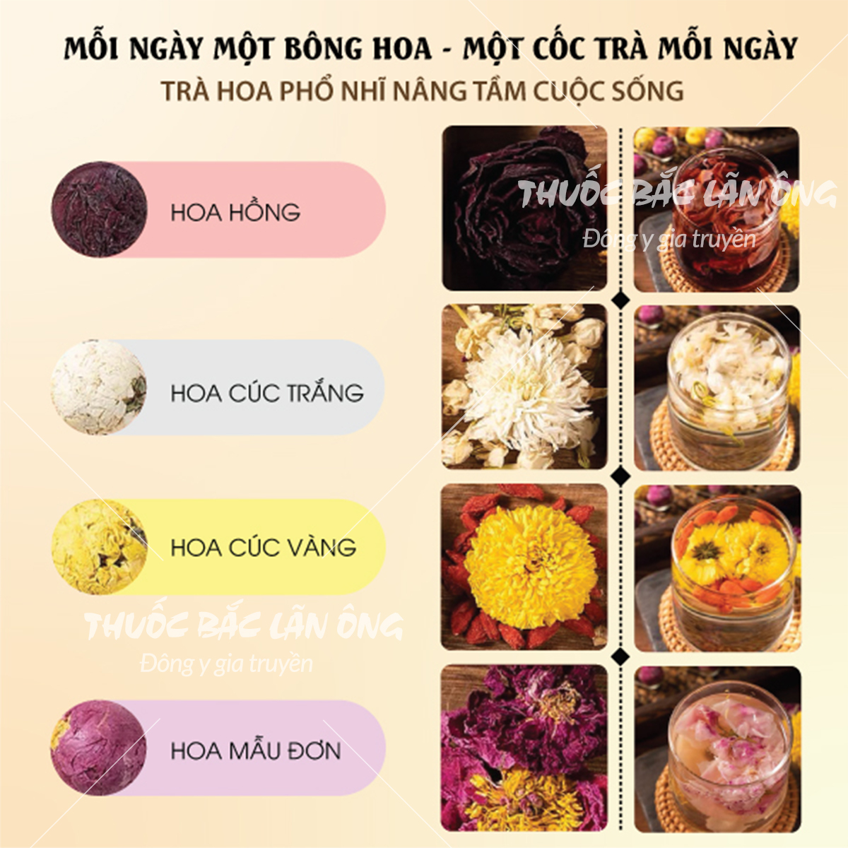 Trà phổ nhĩ nở hoa thượng hạng, trà hoa phổ nhĩ tự chọn - Lãn Ông