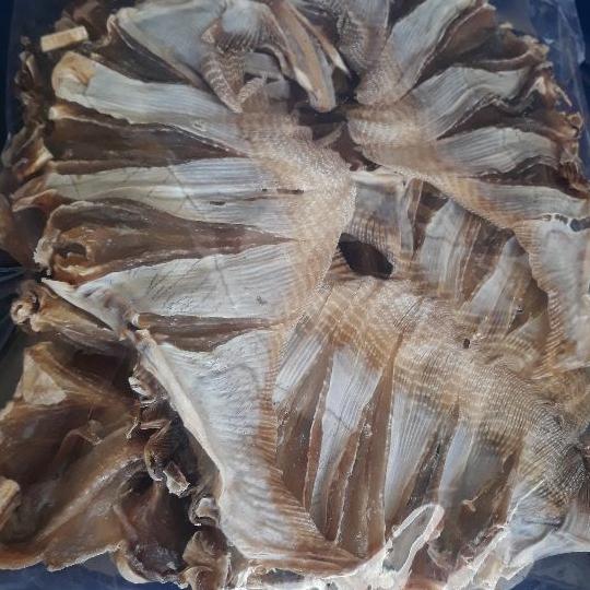 CÁ ĐUỐI KHÔ KO TẨM 500G