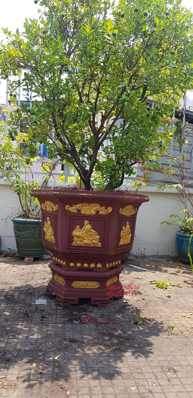 Khuôn đôn chân bệ dùng cho lục giác 80-83 ABS