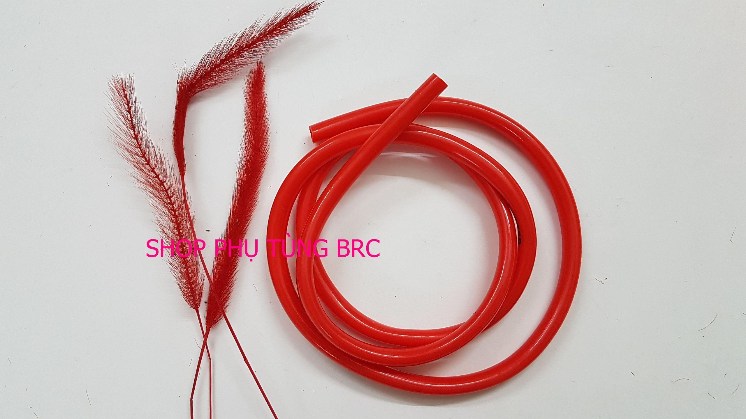 Ống xăng màu xe máy