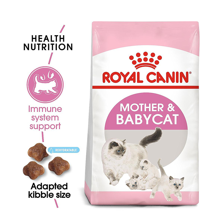 Royal Canin BabyCat 34 Thức ăn mèo con 1- 4 tháng và mèo mẹ bầu- phụ kiện thú cưng