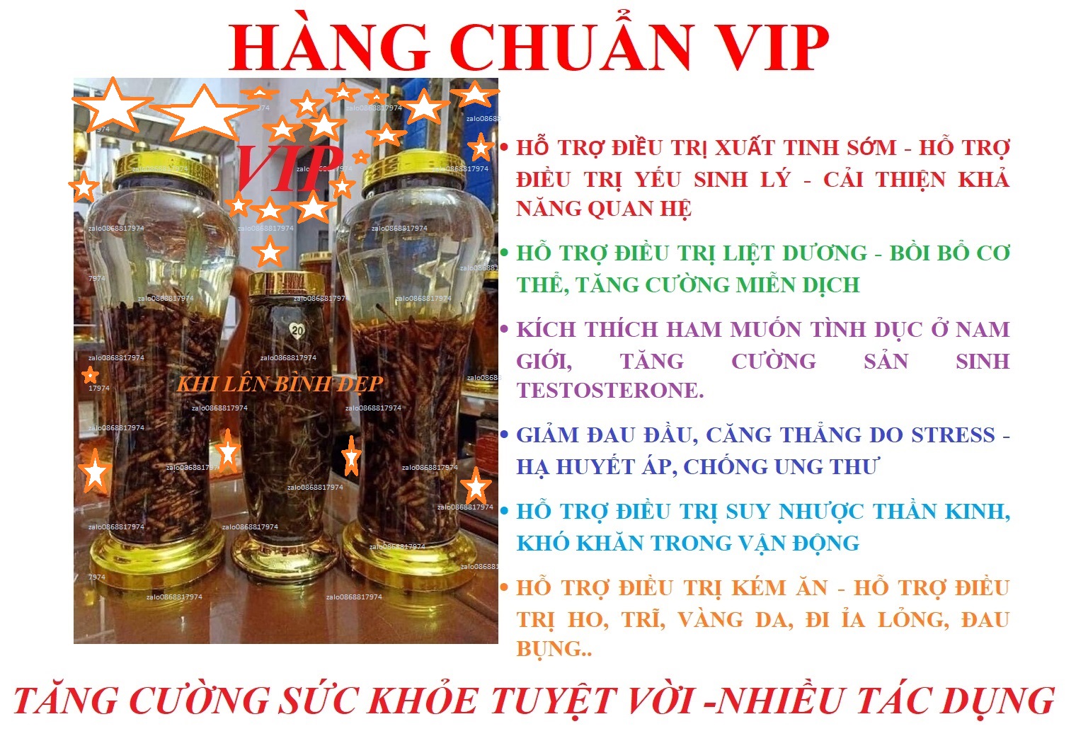 [SALE VIP]SÂM TIÊN MAO HỖ TRỢ SINH LY'-MIỄN DỊCH-GIẢM ĐAU ĐẦU-HUYẾT ÁP-SUY NHƯỢC-TIÊU HÓA-TRĨ-ĐAU BỤNG-VÀNG DA-NHIỀU TÁC DUNG HAY STM 1.1