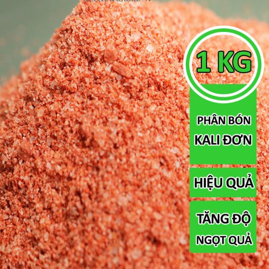 Phân Bón KALI Đỏ  - Phân Kali ISRAEL (1kg)