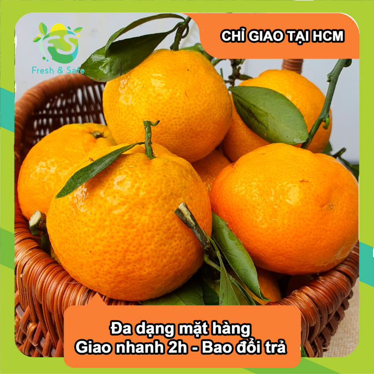 [Chỉ Giao HCM] Quýt Thái - 1kg