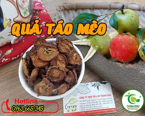 Quả Táo Mèo Khô 1KG Cao Cấp - Đông Y Thanh Bình