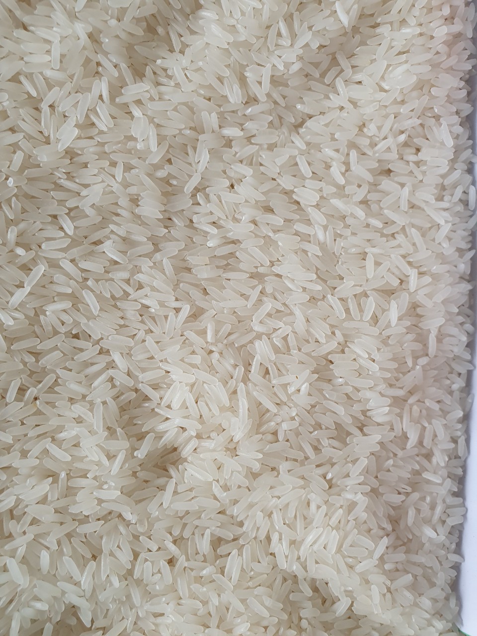 Gạo Đài Thơm 5kg