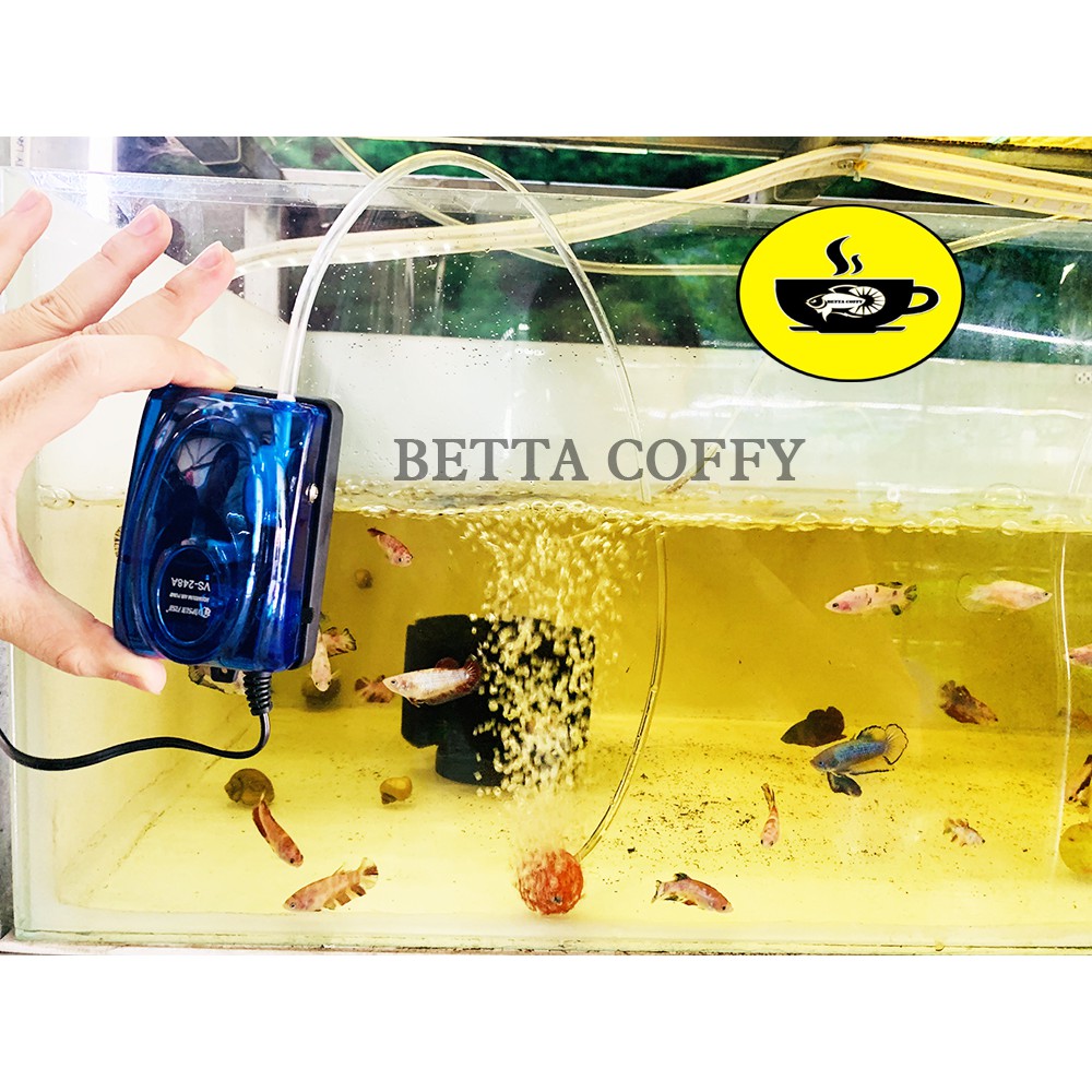 Máy bơm oxy hồ cá VIPSUN FISH VS 🍂