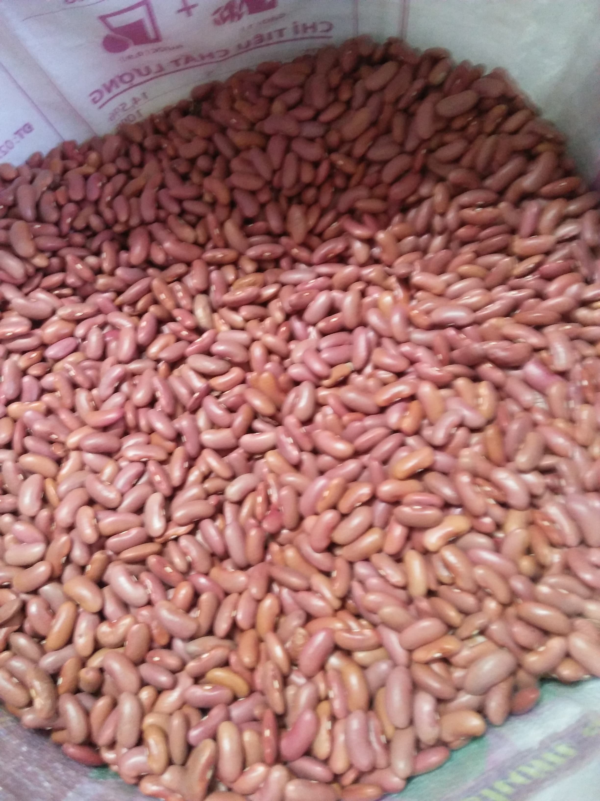 1kg ĐẬU TÂY ĐỎ - dùng nấu chè
