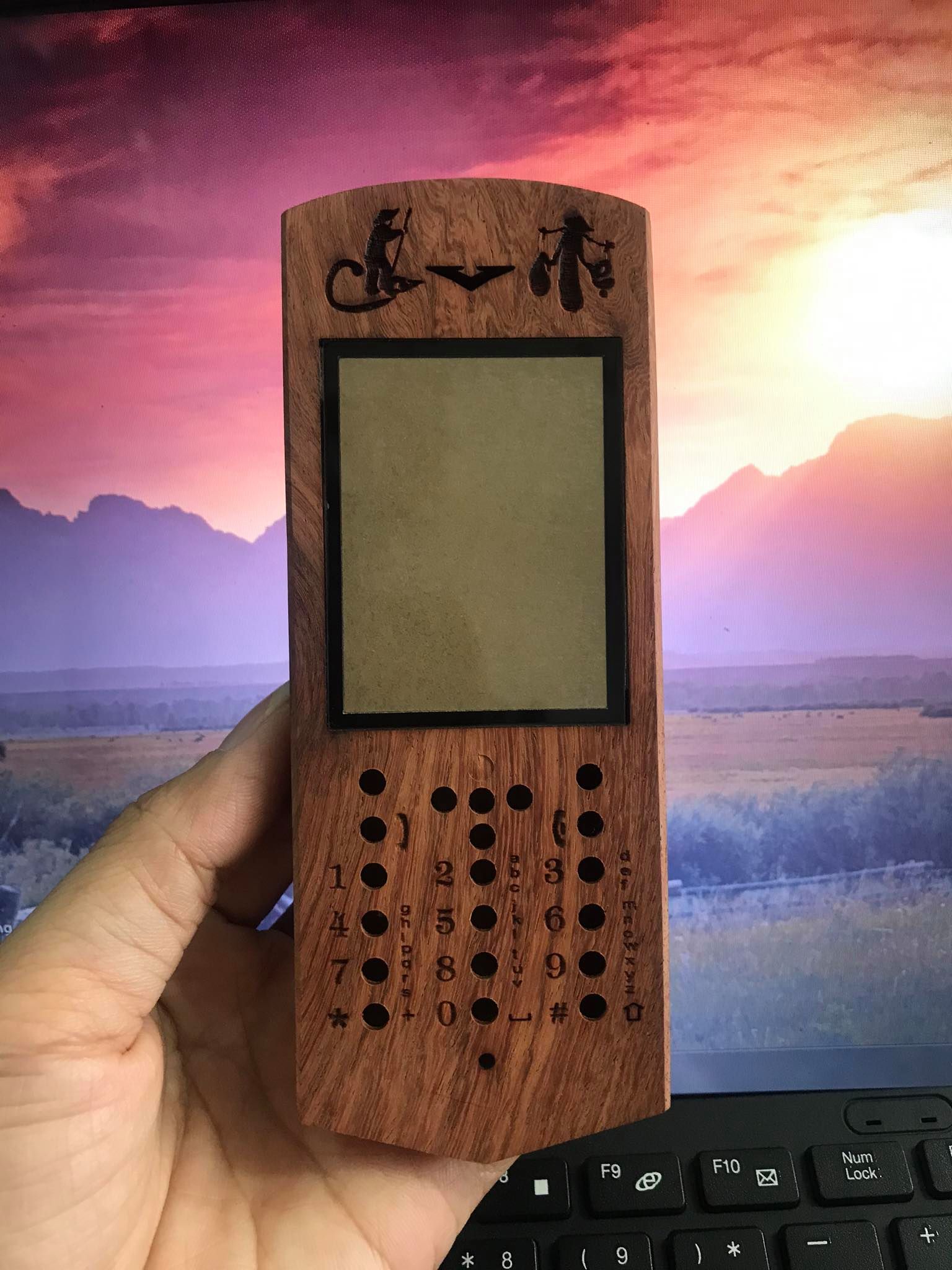 [HCM]Vỏ gỗ cho điện thoại Nokia 206