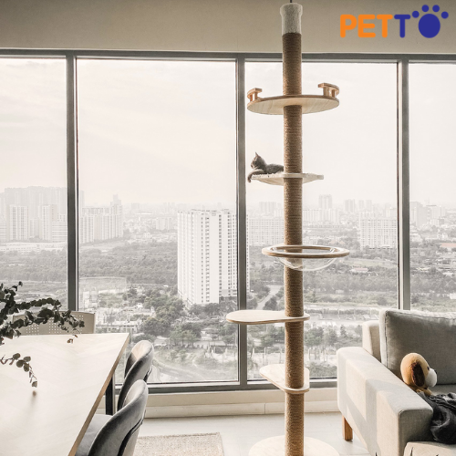 Tháp Mèo Leo Trèo Nhiều Tầng Độc Đáo