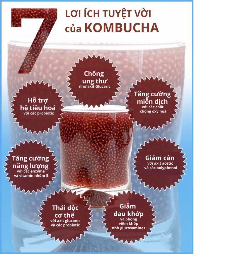 Trà kombucha gói