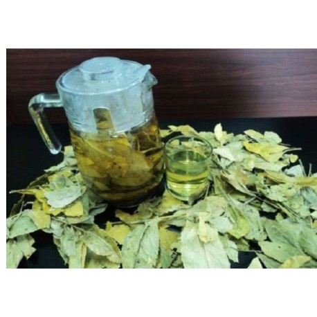 chè dung phơi khô gói túi 1kg