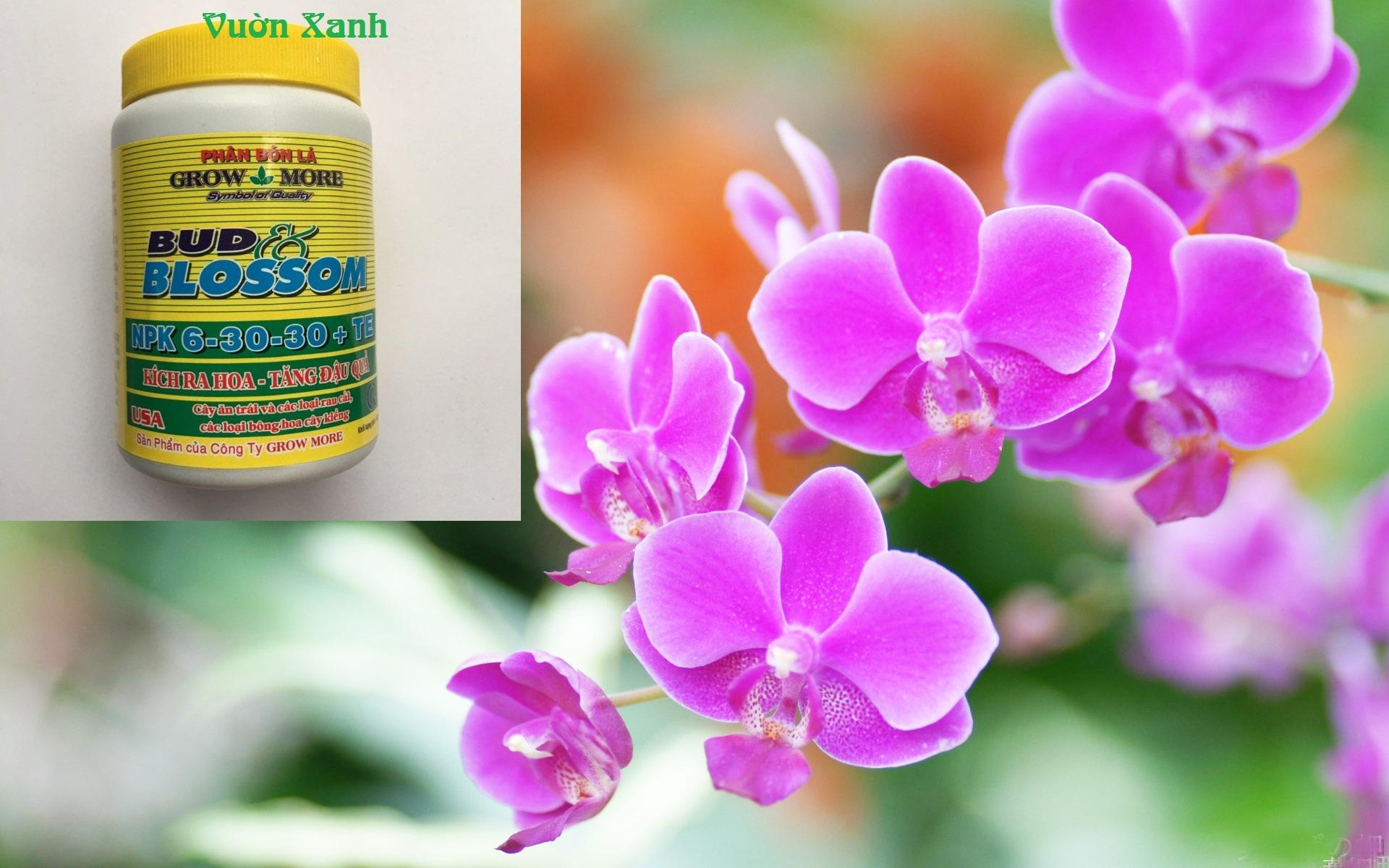 Phân bón kích ra hoa Growmore 6-30-30 100g