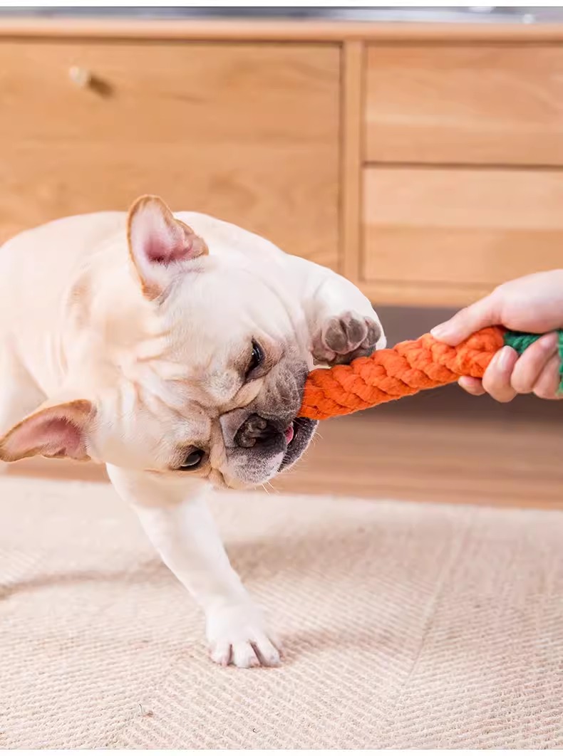 đồ chơi chó mèo - cà rốt thừng cho chó mèo - T3 PETS SHOP