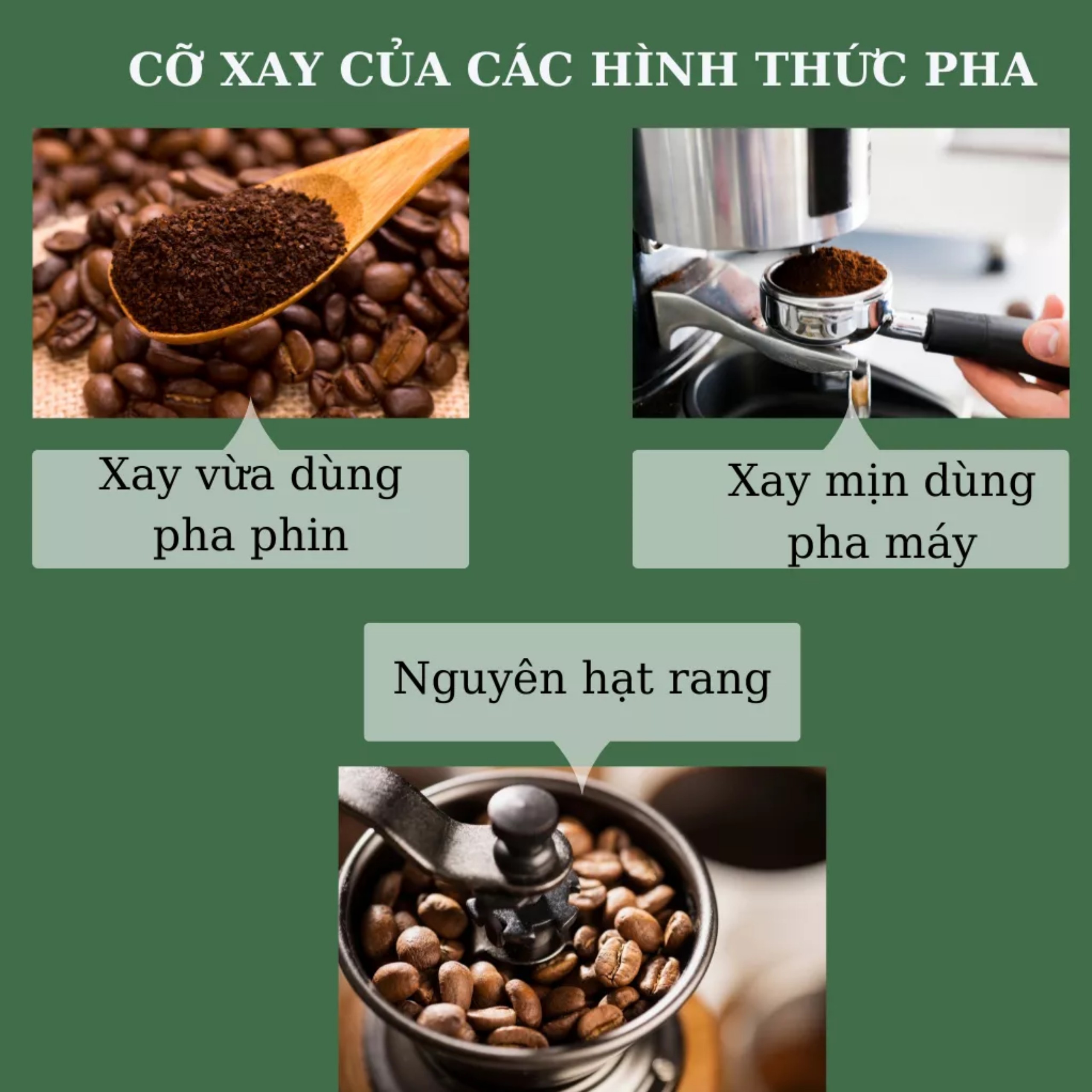 Cà phê Robusta - Cafe rang xay nguyên chất - cafe mộc 500G/gói