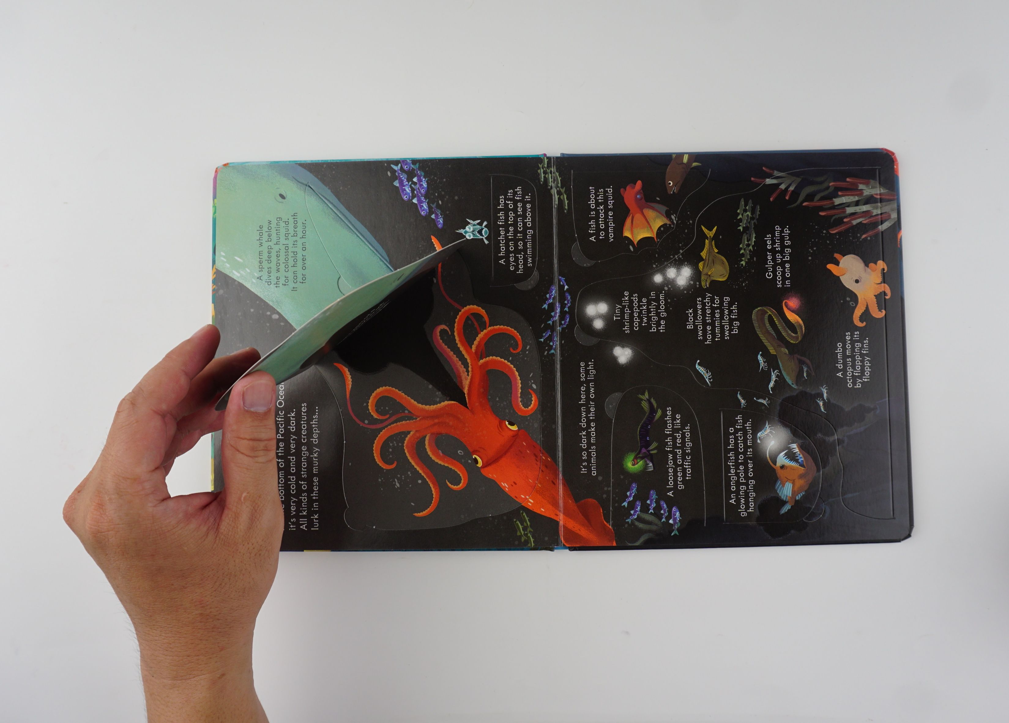 Look Inside Seas and Oceans