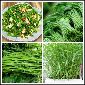 Hạt Giống Rau Muống Lá Tre Dễ Trồng