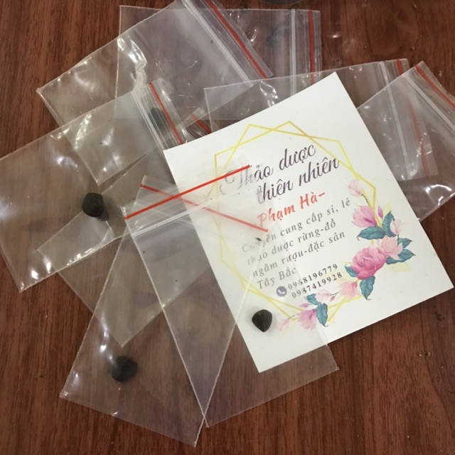 100g Hạt Dổi Rừng (Hạt Dổi Nếp Tây Bắc)