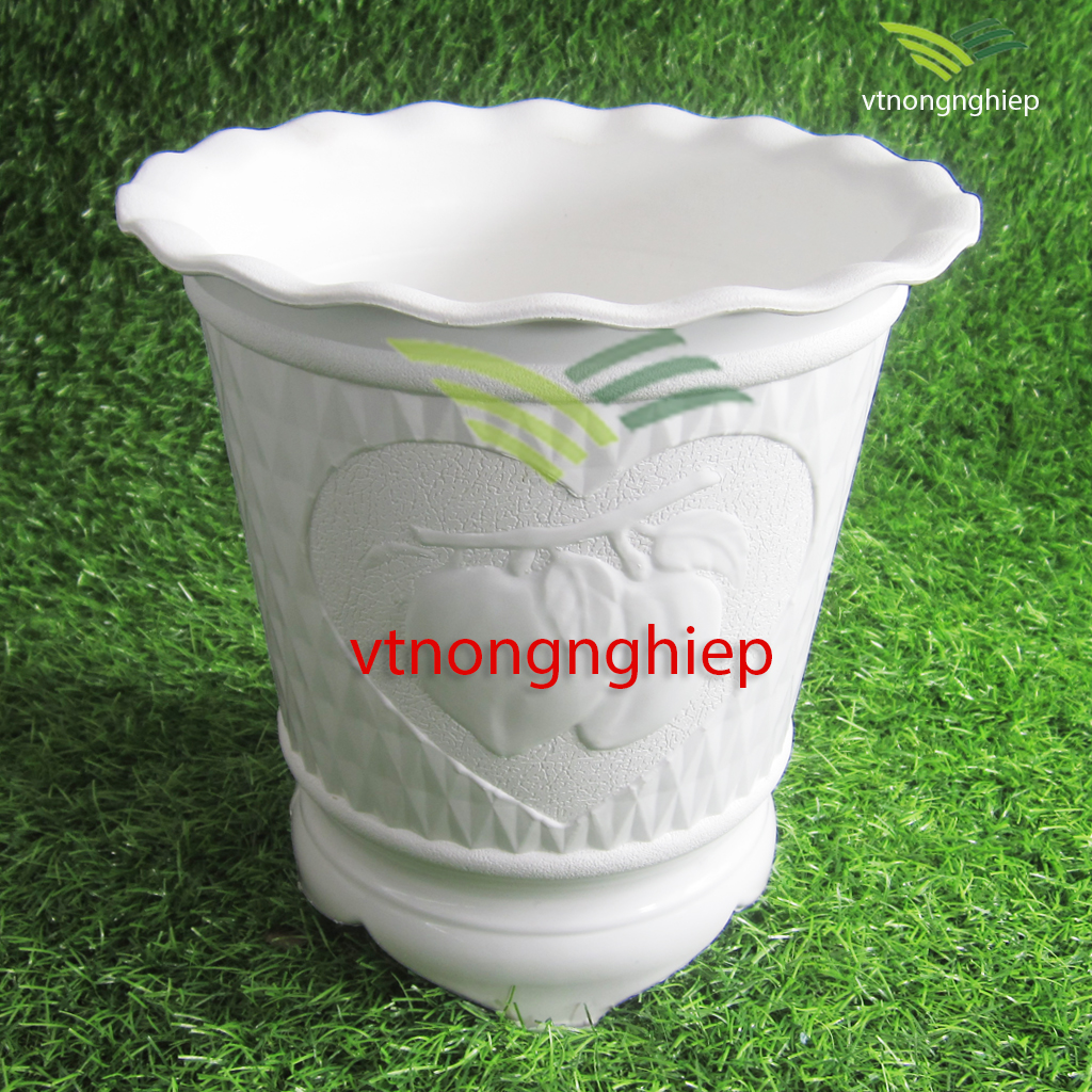 Chậu nhựa trồng hoa Quả Đào, đường kính 22cm cao 23cm